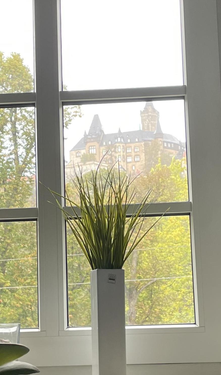 베르니게로데 Haus Kreuzberg Mit Schlossblick 아파트 외부 사진
