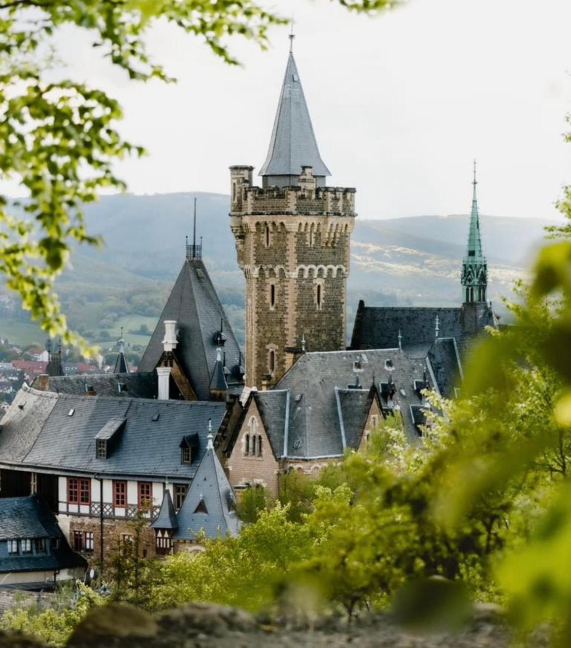 베르니게로데 Haus Kreuzberg Mit Schlossblick 아파트 외부 사진